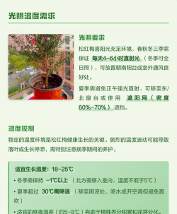 家里阳光不足怎么养花，选对植物种类，掌握养护技巧