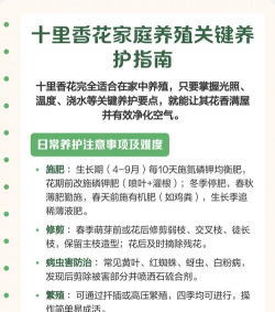 家里阳光不足怎么养花，选对植物种类，掌握养护技巧