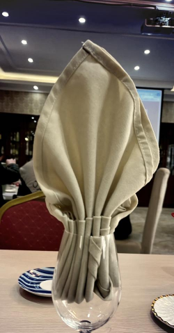 家里阳光不足怎么养花，选对植物种类，掌握养护技巧