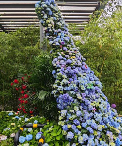 家里阳光不足怎么养花，选对植物种类，掌握养护技巧