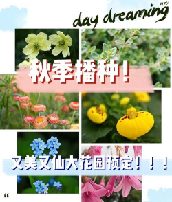 家里阳光不足怎么养花，选对植物种类，掌握养护技巧