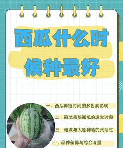 家里阳光不足怎么养花，选对植物种类，掌握养护技巧