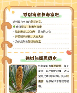 家里阳光不足怎么养花，选对植物种类，掌握养护技巧