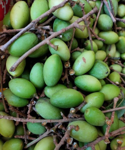 小众送妈妈的花有哪些花