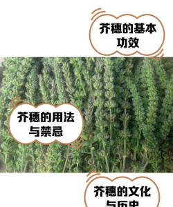 家里阳光不足怎么养花，选对植物种类，掌握养护技巧