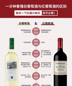 家里阳光不足怎么养花，选对植物种类，掌握养护技巧