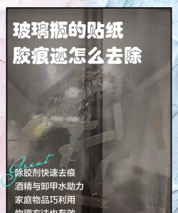 家里阳光不足怎么养花，选对植物种类，掌握养护技巧