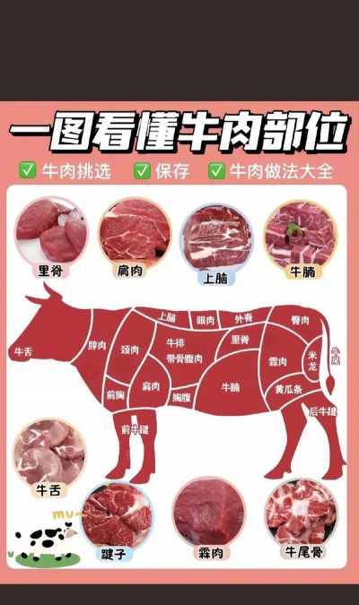 家里阳光不足怎么养花，选对植物种类，掌握养护技巧