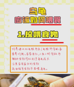 家里阳光不足怎么养花，选对植物种类，掌握养护技巧