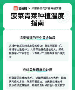 家里阳光不足怎么养花，选对植物种类，掌握养护技巧