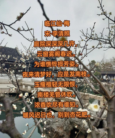 家里阳光不足怎么养花，选对植物种类，掌握养护技巧