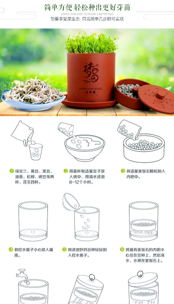 家里阳光不足怎么养花，选对植物种类，掌握养护技巧