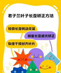 家里阳光不足怎么养花，选对植物种类，掌握养护技巧