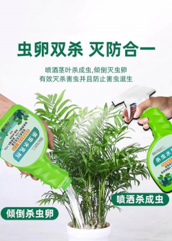 家里阳光不足怎么养花，选对植物种类，掌握养护技巧