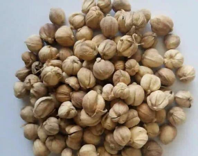 家里阳光不足怎么养花，选对植物种类，掌握养护技巧