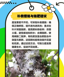 家里阳光不足怎么养花，选对植物种类，掌握养护技巧