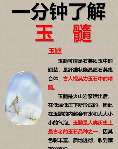 家里阳光不足怎么养花，选对植物种类，掌握养护技巧