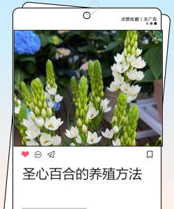 家里阳光不足怎么养花，选对植物种类，掌握养护技巧