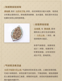 家里阳光不足怎么养花，选对植物种类，掌握养护技巧