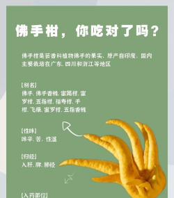 家里阳光不足怎么养花，选对植物种类，掌握养护技巧