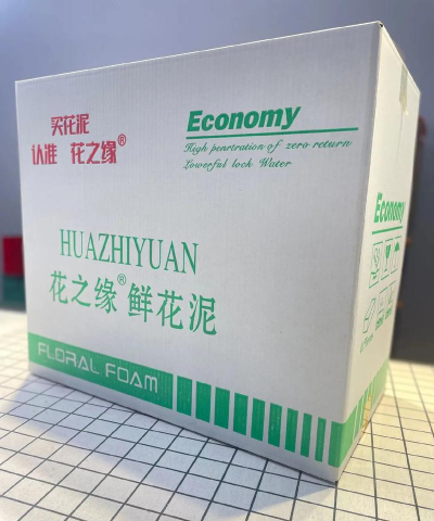 家里阳光不足怎么养花，选对植物种类，掌握养护技巧