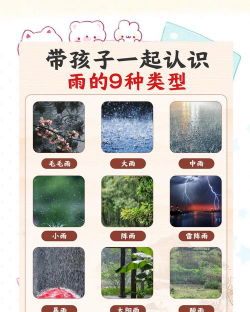 家里阳光不足怎么养花，选对植物种类，掌握养护技巧