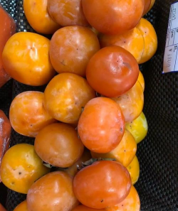 家里阳光不足怎么养花，选对植物种类，掌握养护技巧