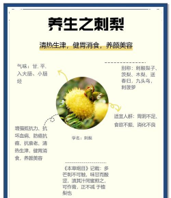 家里阳光不足怎么养花，选对植物种类，掌握养护技巧