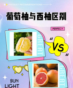 家里阳光不足怎么养花，选对植物种类，掌握养护技巧