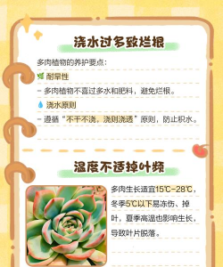 家里阳光不足怎么养花，选对植物种类，掌握养护技巧