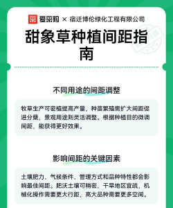 家里阳光不足怎么养花，选对植物种类，掌握养护技巧