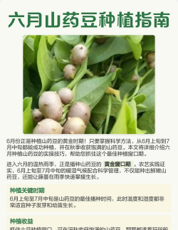 家里阳光不足怎么养花，选对植物种类，掌握养护技巧