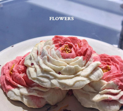 家里阳光不足怎么养花，选对植物种类，掌握养护技巧