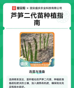 家里阳光不足怎么养花，选对植物种类，掌握养护技巧