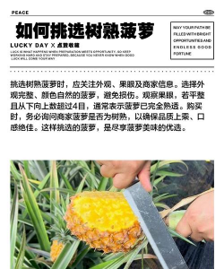 家里阳光不足怎么养花，选对植物种类，掌握养护技巧