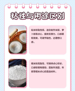 家里阳光不足怎么养花，选对植物种类，掌握养护技巧