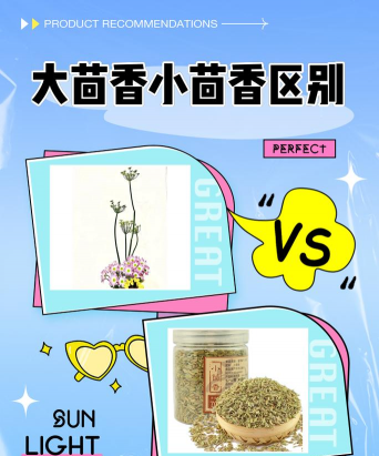 家里阳光不足怎么养花，选对植物种类，掌握养护技巧