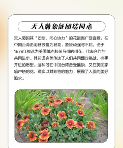 家里阳光不足怎么养花，选对植物种类，掌握养护技巧