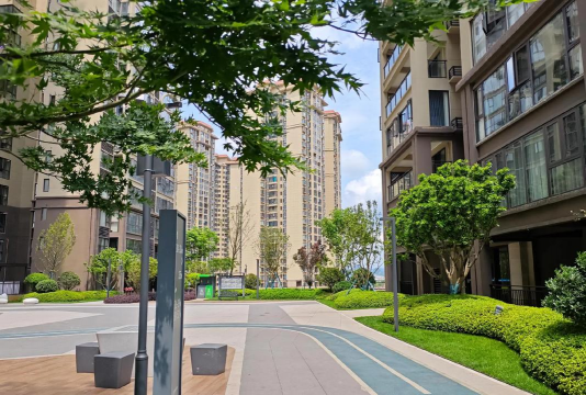 家里阳光不足怎么养花，选对植物种类，掌握养护技巧