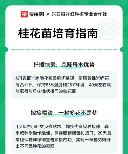家里阳光不足怎么养花，选对植物种类，掌握养护技巧