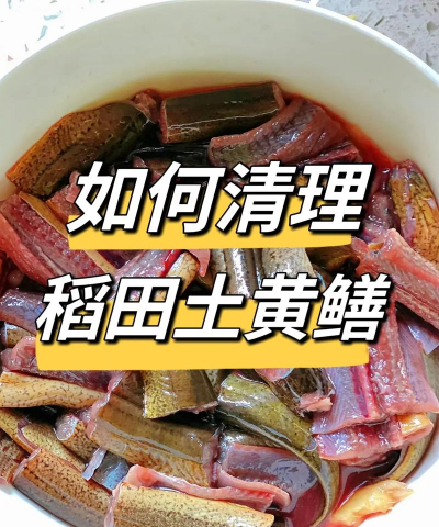 家里阳光不足怎么养花，选对植物种类，掌握养护技巧