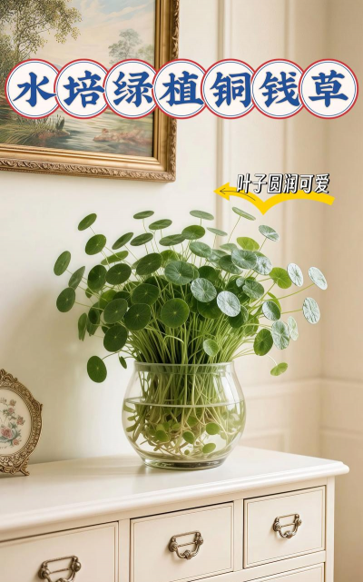 家里阳光不足怎么养花，选对植物种类，掌握养护技巧