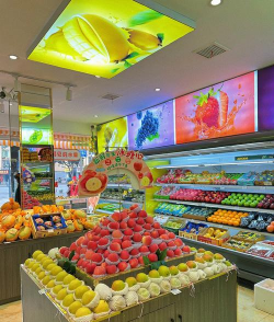 家里阳光不足怎么养花，选对植物种类，掌握养护技巧