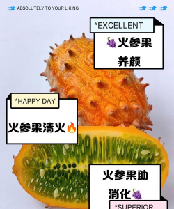 家里阳光不足怎么养花，选对植物种类，掌握养护技巧