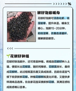 家里阳光不足怎么养花，选对植物种类，掌握养护技巧