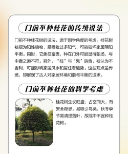 家里阳光不足怎么养花，选对植物种类，掌握养护技巧
