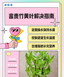 家里阳光不足怎么养花，选对植物种类，掌握养护技巧
