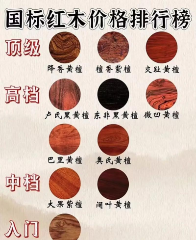 家里阳光不足怎么养花，选对植物种类，掌握养护技巧