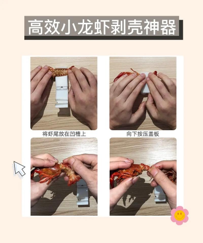 家里阳光不足怎么养花，选对植物种类，掌握养护技巧