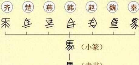 家里阳光不足怎么养花，选对植物种类，掌握养护技巧